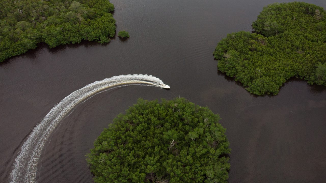 Expedite long term solutions to reduce harmful Lake Okeechobee discharges