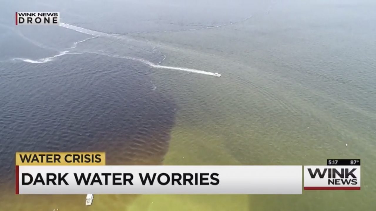 WINK News: Freshwater runoff leads to dark water near Sanibel