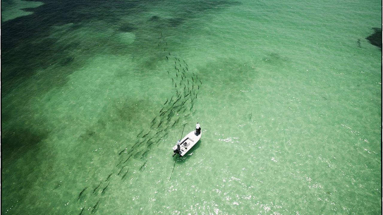 Mercury Marine: The Everglades: A National Treasure – Part 1