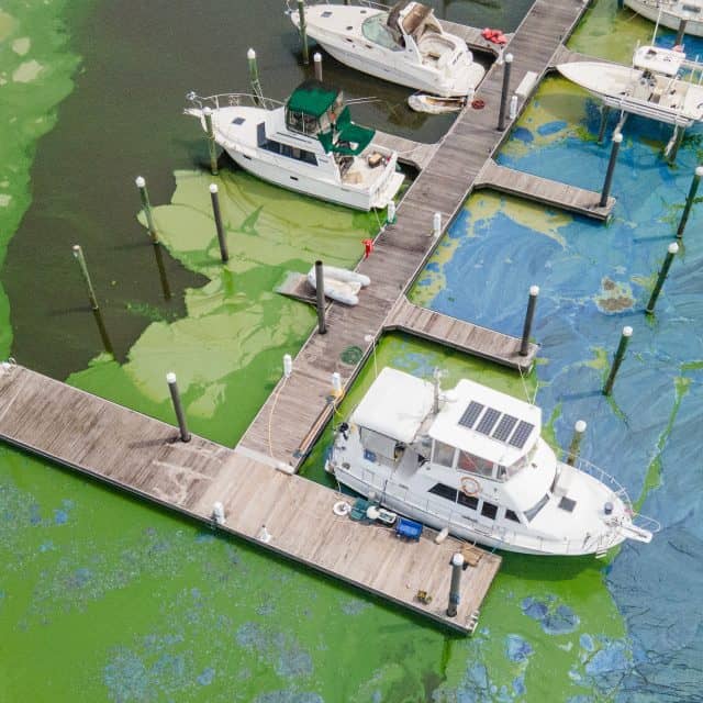 https://captainsforcleanwater.org/wp-content/uploads/2021/05/dji_0372-640x640.jpg