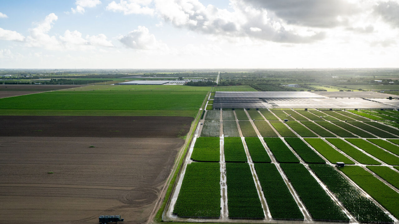 A Florida Bill Could Bankrupt You for Speaking Up About Pollution