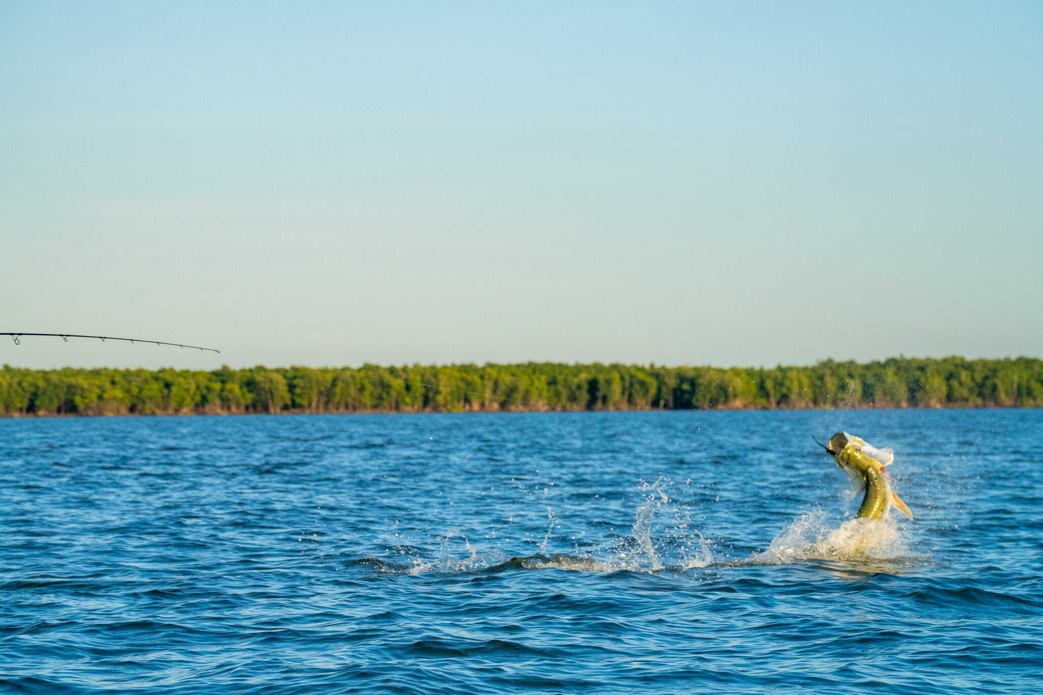 DSC08532 https://captainsforcleanwater.org/wp-content/uploads/2025/12/DSC08532.jpg
