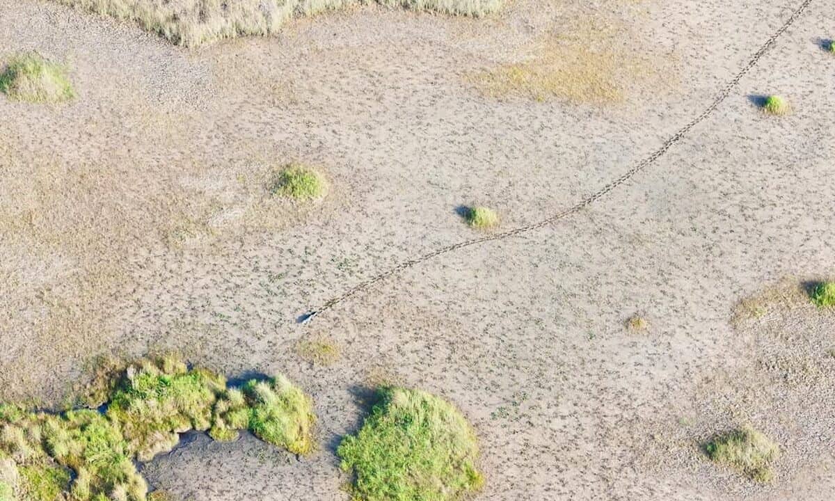 Big Sugar is taking 1B gallons of water per day while Everglades experiences historic drought